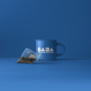 GABA Gadget Store